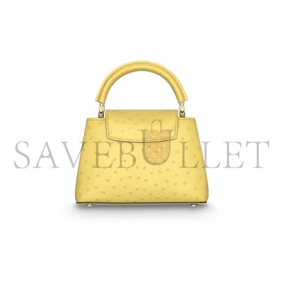 LOUIS VUITTON CAPUCINES MINI M95509 (21*14*8cm)